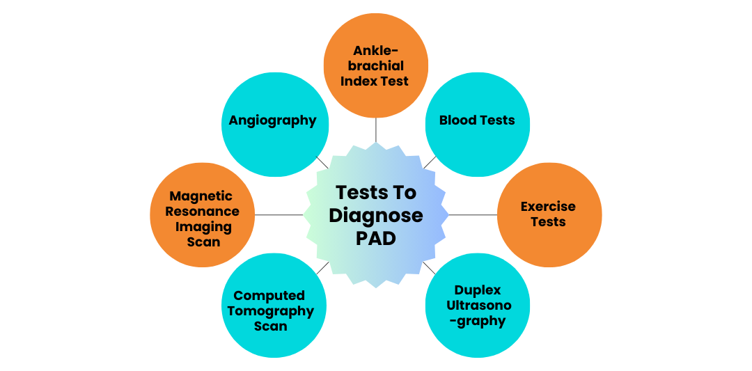 Tests To Diagnose PAD