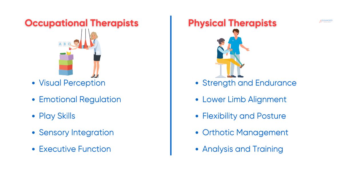 occupational vs physical therapist