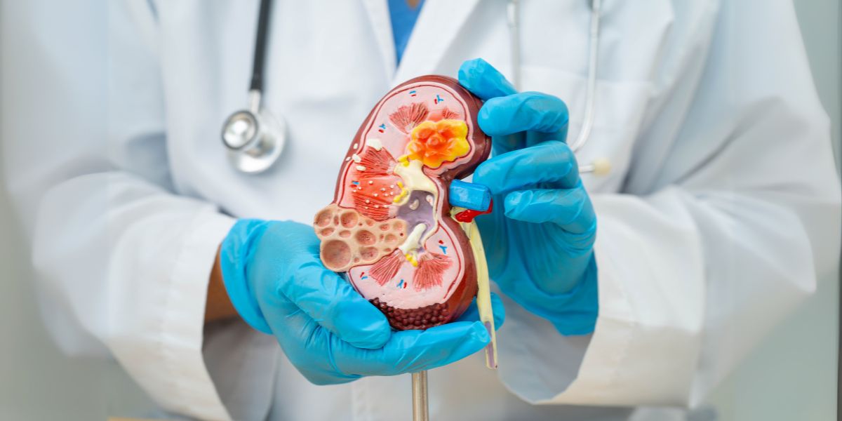 how does peripheral artery disease affect kidney
