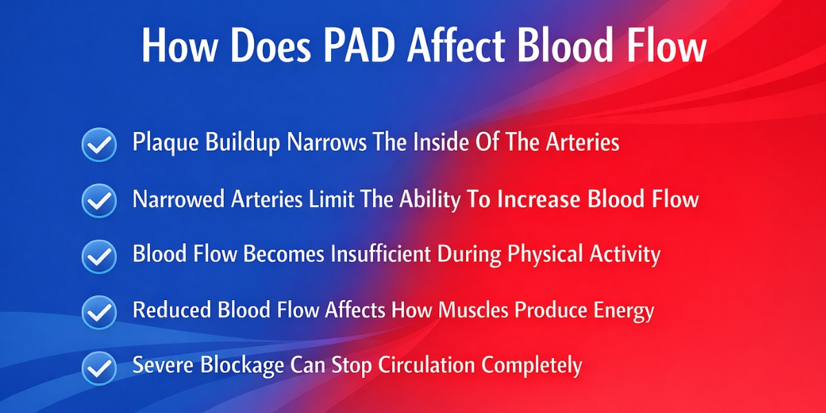 how peripheral artery disease affect blood flow