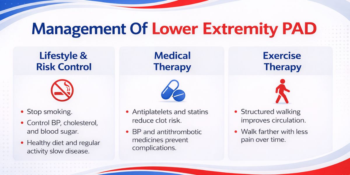 management of lower extremity peripheral artery disease